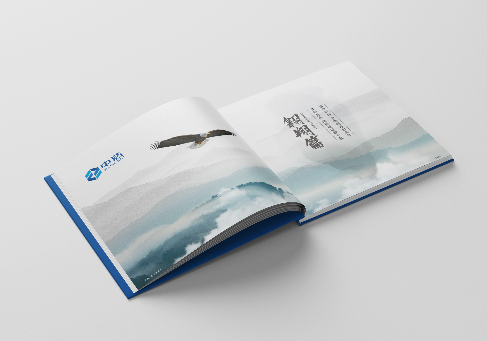 中浩地產(chǎn)畫冊(cè)設(shè)計(jì)